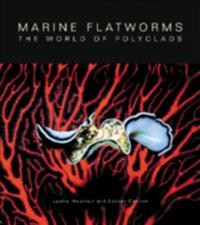 Marine Flatworms