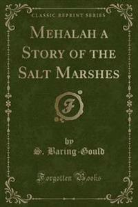 Mehalah a Story of the Salt Marshes (Classic Reprint)