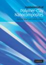Fundamentals of Polymer-Clay Nanocomposites