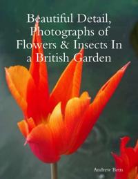 Beautiful Detail, Photographs of Flowers & Insects In a British Garden