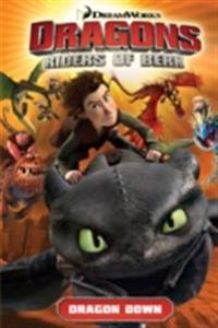 Dragons: Riders of Berk Vol. 1: Dragon Down