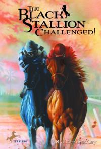 Black Stallion Challenged