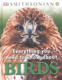 Everything You Need to Know about Birds