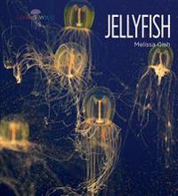 Jellyfish: Living Wild