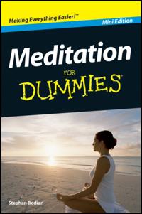 Meditation For Dummies, Mini Edition