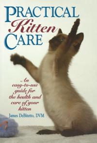 Practical Kitten Care