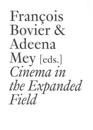 Cinema in the Expanded Field