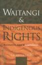 Waitangi and Indigenous Rights