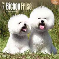 Bichon Frise 2016 Calendar