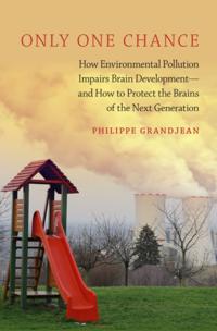Only One Chance: How Environmental Pollution Impairs Brain Development -- and How to Protect the Brains of the Next Generation