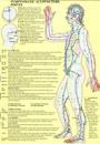 Symptomatic Acupuncture Points -- A4
