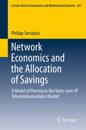 Network Economics and the Allocation of Savings