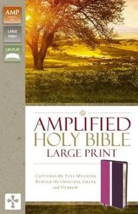 Amplified Holy Bible, Large Print: Captures the Full Meaning Behind the Original Greek and Hebrew