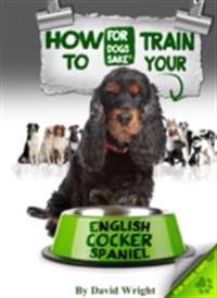How to Train Your English Cocker Spaniel