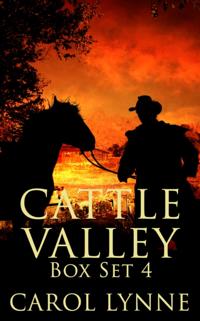 Cattle Valley Box Set 4