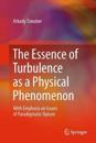 The Essence of Turbulence as a Physical Phenomenon
