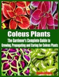 Coleus Plants - The Gardener's Complete Guide to Growing, Propagating and Caring for Coleus Plants