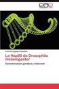 La Hsp60 de Drosophila Melanogaster