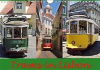 Trams in Lisboa 2016