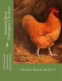 Standard-Bred Orpington Chickens: Chicken Breeds Book 11