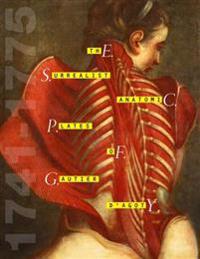 The Surrealist Anatomic Plates of Gautier D'Agoty - 1741-1775
