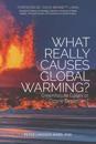 What Really Causes Global Warming?