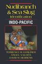 Nudibranch & Sea Slug Identification -- Indo-Pacific
