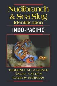 Nudbranch and Sea Slug Identification Indo-pacific