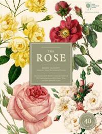 The Rose: The History of the World's Favourite Flower in 40 Captivating Roses with Classic Texts and Rare Beautiful Prints