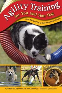 Agility Training for You and Your Dog