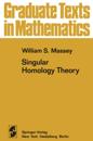 Singular Homology Theory