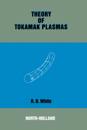 Theory of Tokamak Plasmas