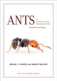 Ants of Africa and Madagascar