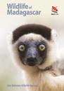 Wildlife of Madagascar