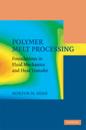 Polymer Melt Processing