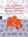 Algorithmic Beauty of Seaweeds, Sponges and Corals
