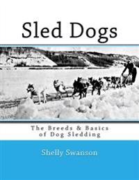 Sled Dogs: The Breeds & Basics of Dog Sledding