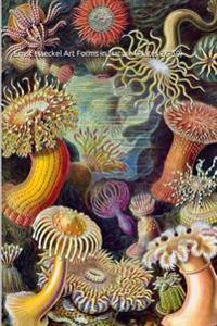 Ernst Haeckel Art Forms in Nature (Plates 26-50): (Introductions to Art) 25 Full Color Prints