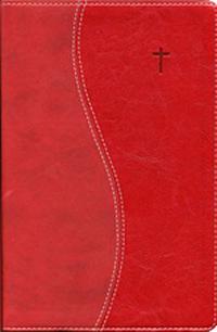 Raamattu (suomi-englanti, 160x235 mm, kultasyrjä, reunahakemisto, nahkajäljitelmä, punainen, New International Version -käännös)