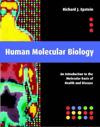 Human Molecular Biology