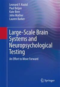 Large-scale Brain Systems and Neuropsychological Testing