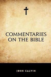 Commentaries on the Bible