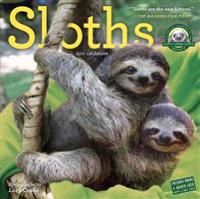 Sloths 2017 Calendar