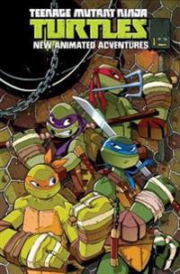 Teenage Mutant Ninja Turtles: New Animated Adventures Omnibus, Volume 1
