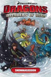 Dragons Defenders of Berk 2