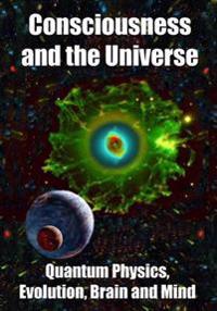 Consciousness and the Universe