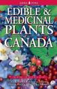 Edible and Medicinal Plants of Canada
