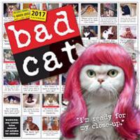 Bad Cat 2017 Calendar