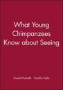 What Young Chimpanzees Know about Seeing