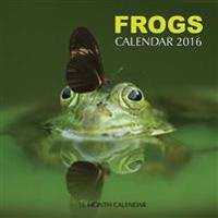 Frogs Calendar 2016: 16 Month Calendar